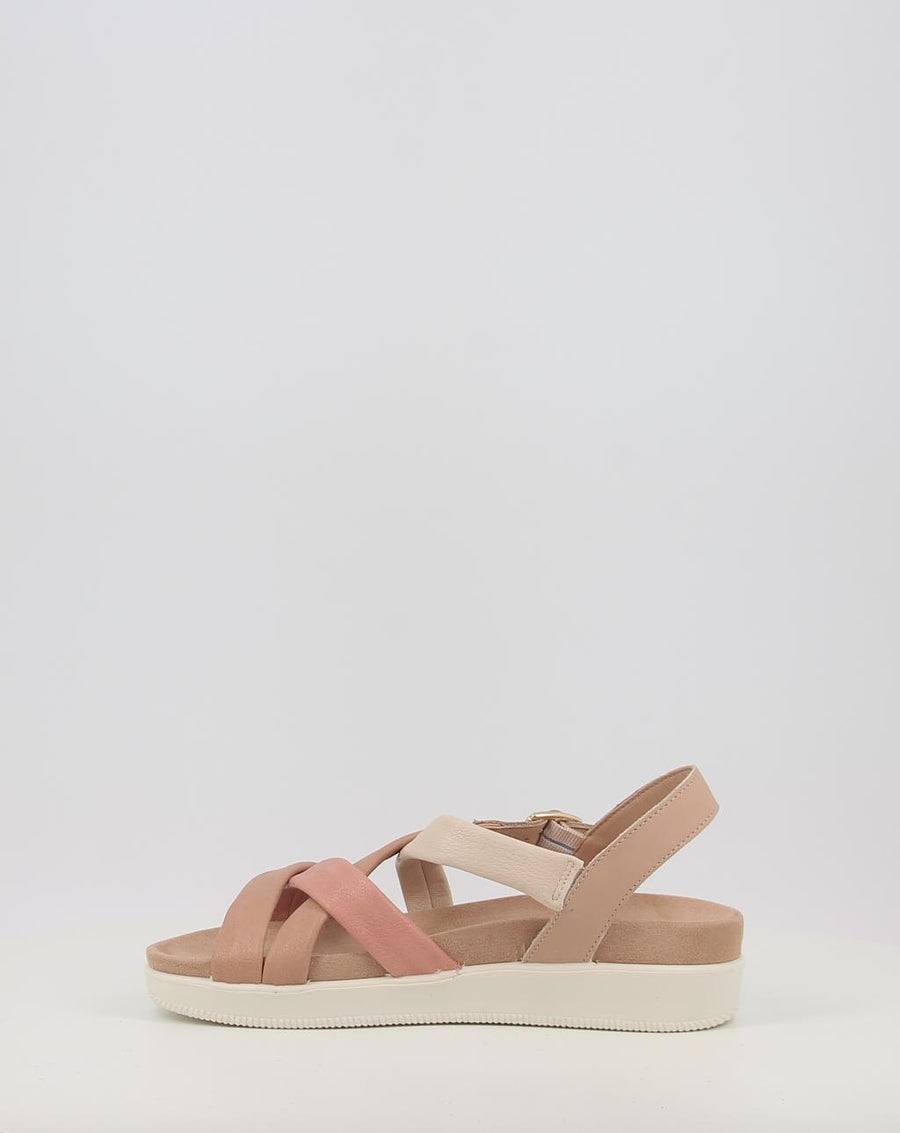 DAISY 108730