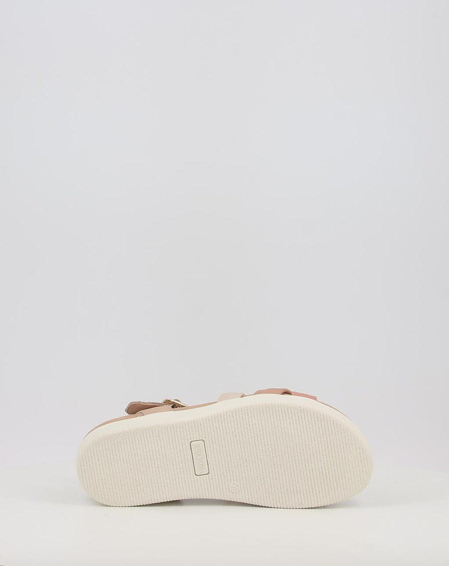 DAISY 108730