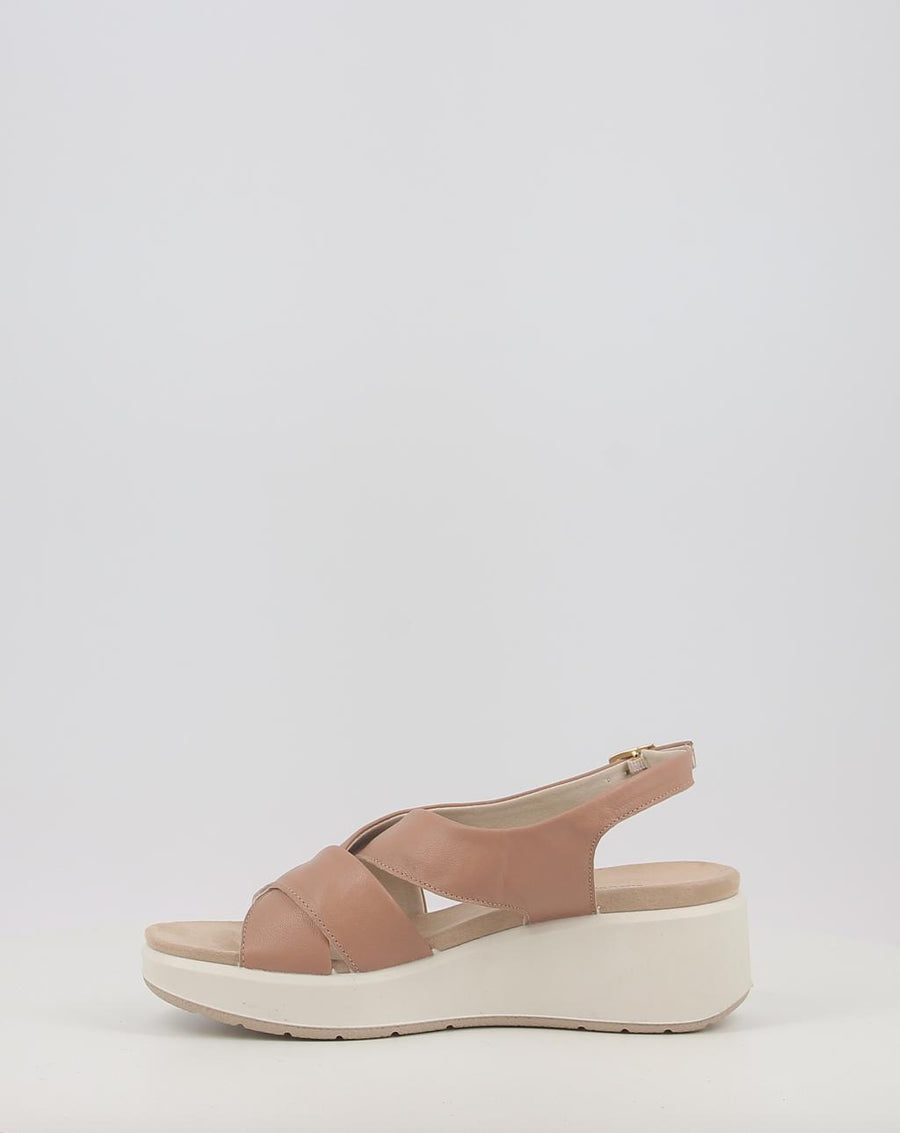 CATERINA 758480