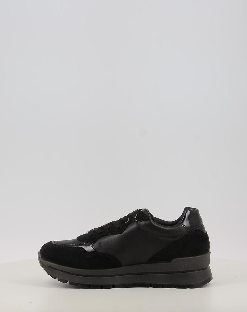 Zapatos IGI & CO D.ANIKA GTX 86765 negro