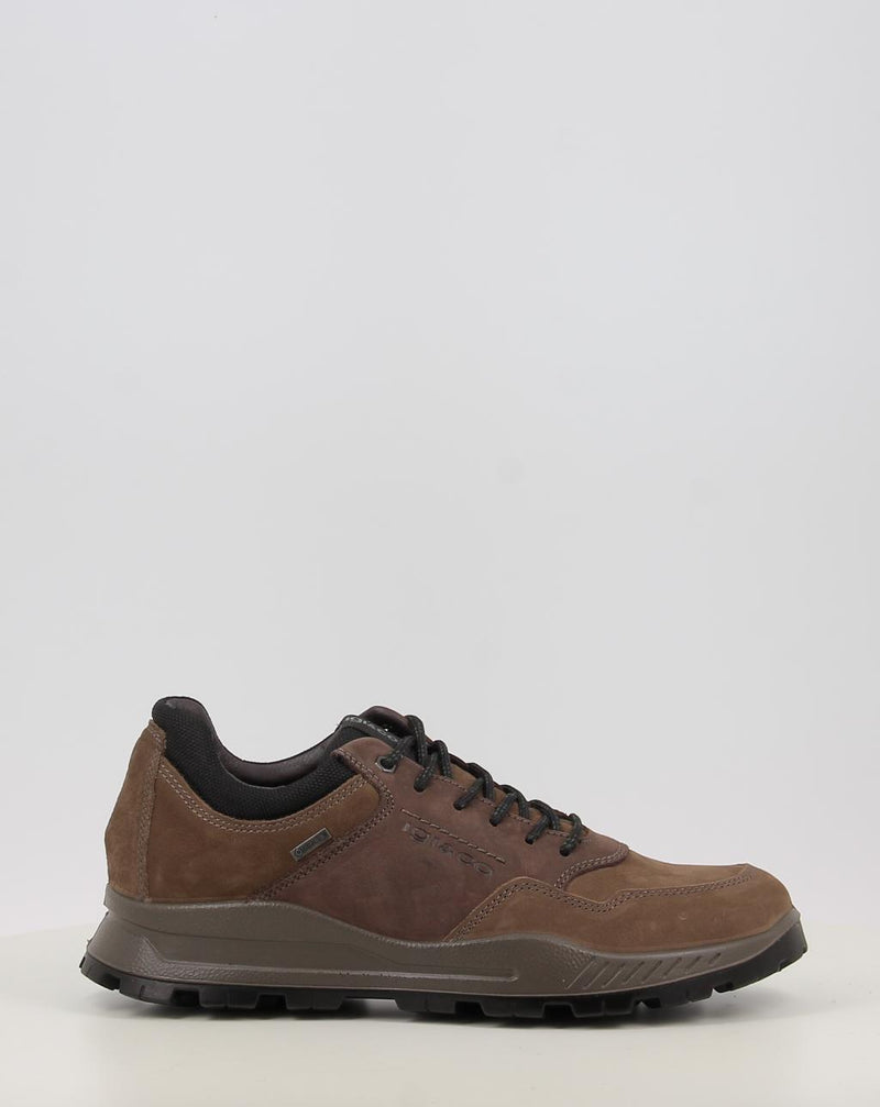 Zapatos IGI & CO U.ELOY GTX 86294 taupe