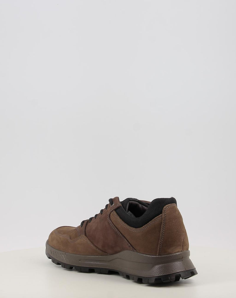 Zapatos IGI & CO U.ELOY GTX 86294 taupe