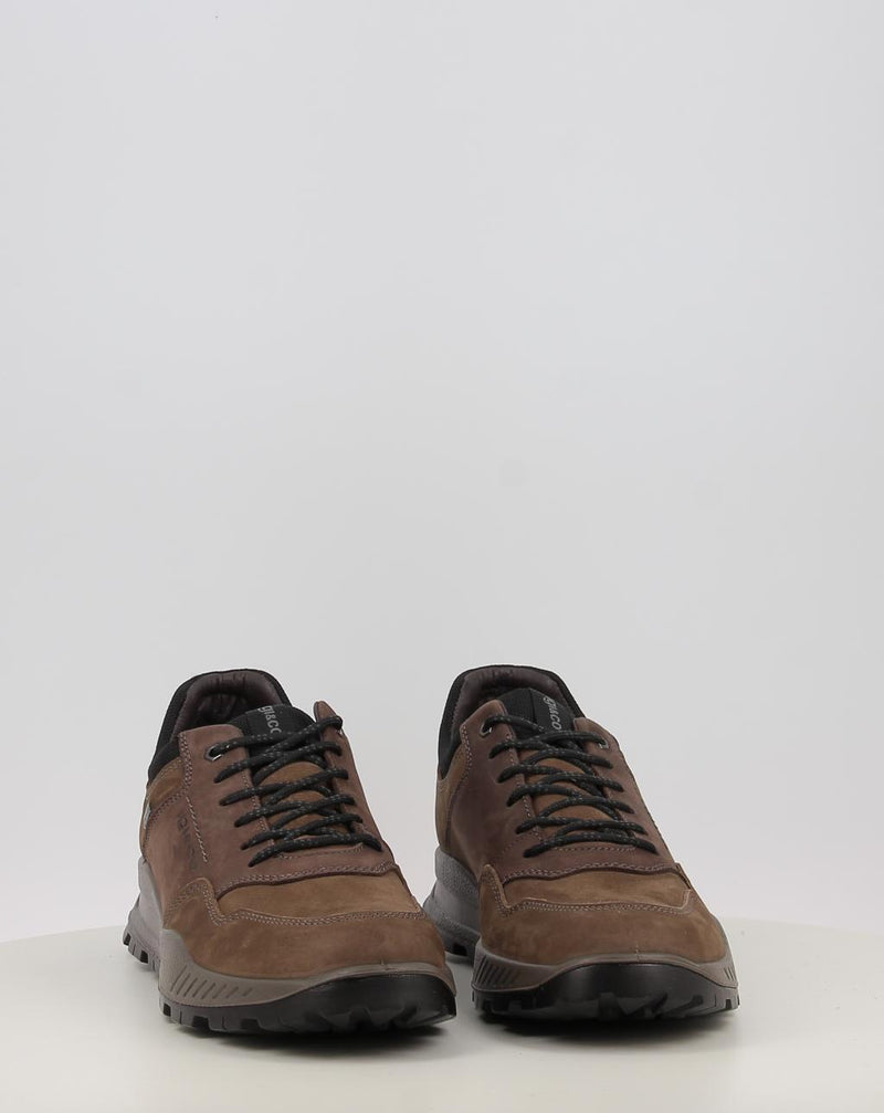 Zapatos IGI & CO U.ELOY GTX 86294 taupe